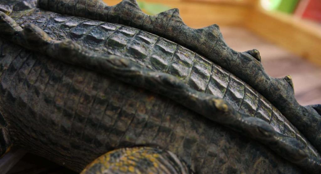 [dokidoki] Crocodile Cushion Plush Body Pillow Sleeping Pillow Crocodile Animal Interior Reptile Amphibian Dinosaur