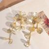 Light Luxury Women Earrings Temperament Stud Earrings Big Flower Long Tassel Earrings  Daily Wear