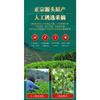 Luzhou flavor Oolong tea Anxi Tie Guanyin tea Green tea fragrant Tie Guanyin