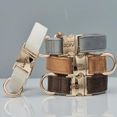 Ensemble Collier et Laisse pour Animaux en Velours Peluche Gravé