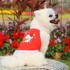 Halter Top Mesh Breathable Dog Cat Pet Cat Clothes Dog and Puppy Short Sleeves