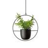 European Wrought Iron Hanging Hydroponic Planter for Spider Plants