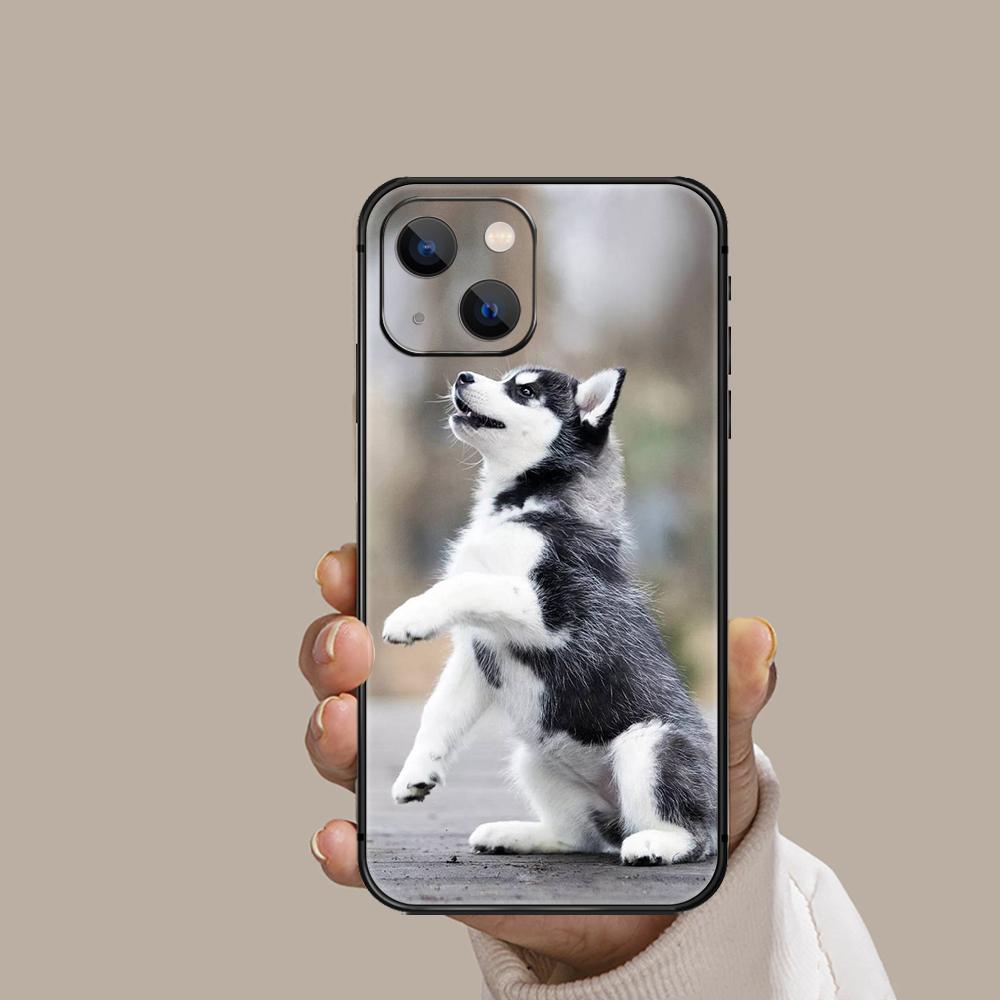 Siberian Husky Cute Dog Phone Case For Iphone Xiaomi Mi Redmi Samsung Galaxy Note S 9 10 11 12 13 22 Pro Max Plus Uitra Black TPU Soft Mini