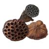 Natural Zen Style Large Lotus Head with Seeds, Dried Fruit, and Mini Lotus for Christmas Home Decoration.