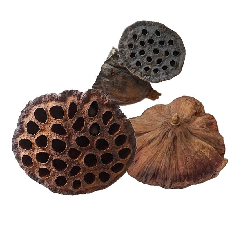 Natural Zen Style Large Lotus Head with Seeds, Dried Fruit, and Mini Lotus for Christmas Home Decoration.