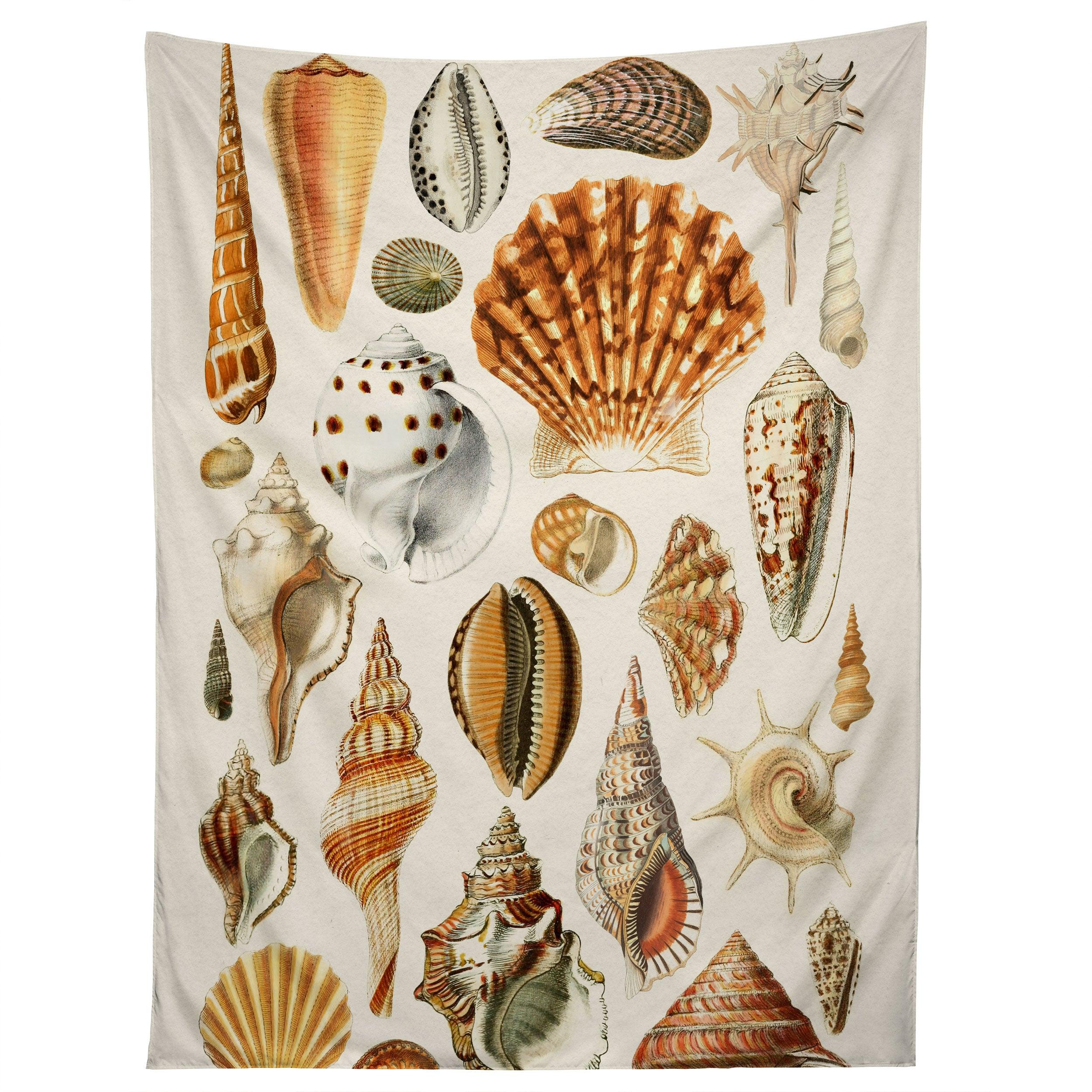 SEASHELLS COLLECTION tapestry 75x100