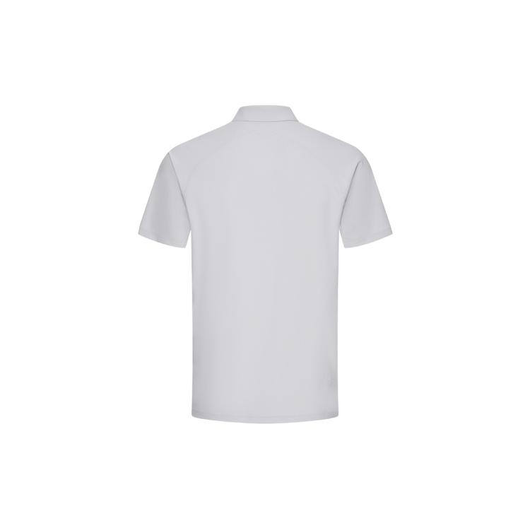 DESCENTE Dualis Polo Shirt Men's D4231DPS89