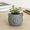 3D Printed Cute Pig Planter Cartoon Animal Shaped Cactus Flower Pot with Drainage Hole for Home Office Desk Decor