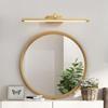 American Copper LED Vanity & Picture Light for Bathroom & Corridor