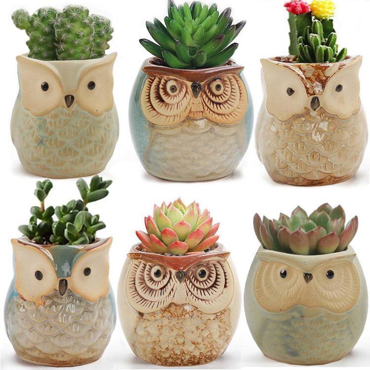 Japan-Korea Cartoon Owl Succulent Ceramic Flower Pot for Home and Garden