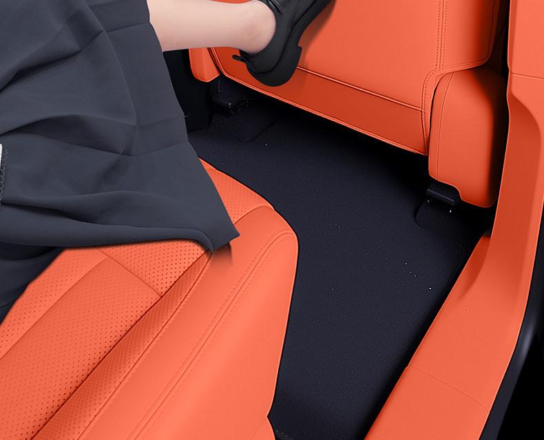 Lynk & Co 10EM-P Rear Seat Kick Mats - Car Interior Protector & Accessory