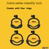 Men's Double Lock Design Chastity Cage Breathable Male Chastity Device with 4 Types of Snap Ring Adult Sex Toy Chastity Lock