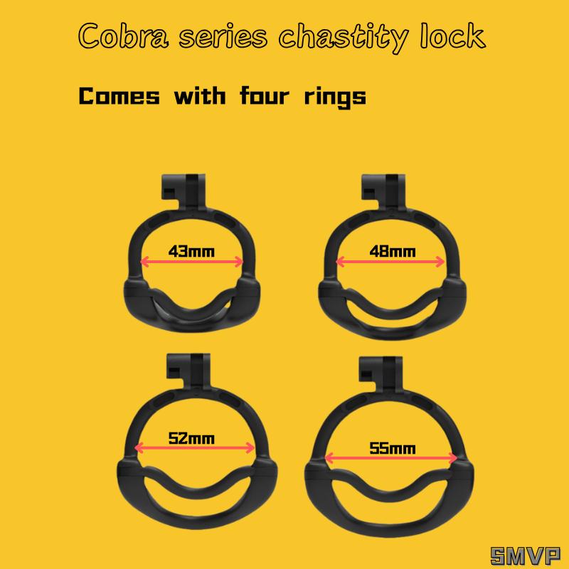 Men's Double Lock Design Chastity Cage Breathable Male Chastity Device with 4 Types of Snap Ring Adult Sex Toy Chastity Lock