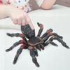 Simulation Insect Model Ornaments Desktop Decoration Kid Children Halloween Toy(PL127‑845 )