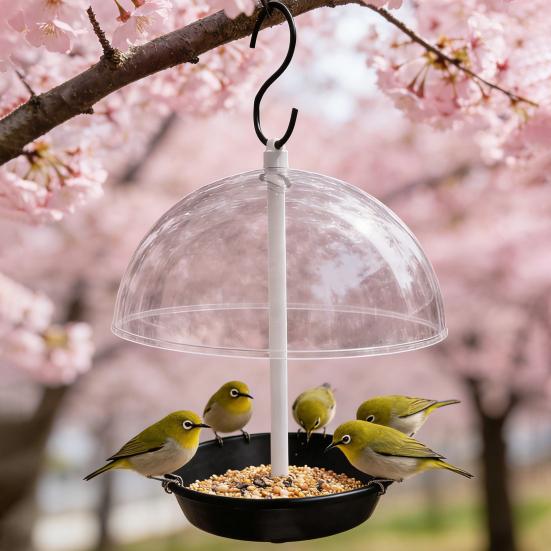 Regulowany karmnik dla ptaków Wiszący karmnik dla ptaków z przezroczystą kopułą chroniącą przed deszczem Zewnętrzna tacka na nasiona dla ptaków do ogrodu, tarasu, dla dzikich ptaków