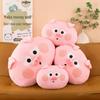 Cute Pig Bacon Plush Pillow - Sofa Backrest & Bed Cushion Doll Gift