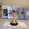 Eternal Flower Glass Lamp Plastic Cover Night Light Rose Simulation Flower With Bear Valentine Day Gift For Girlfriend