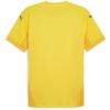 Puma Mens TeamFinal Jersey T-Shirt