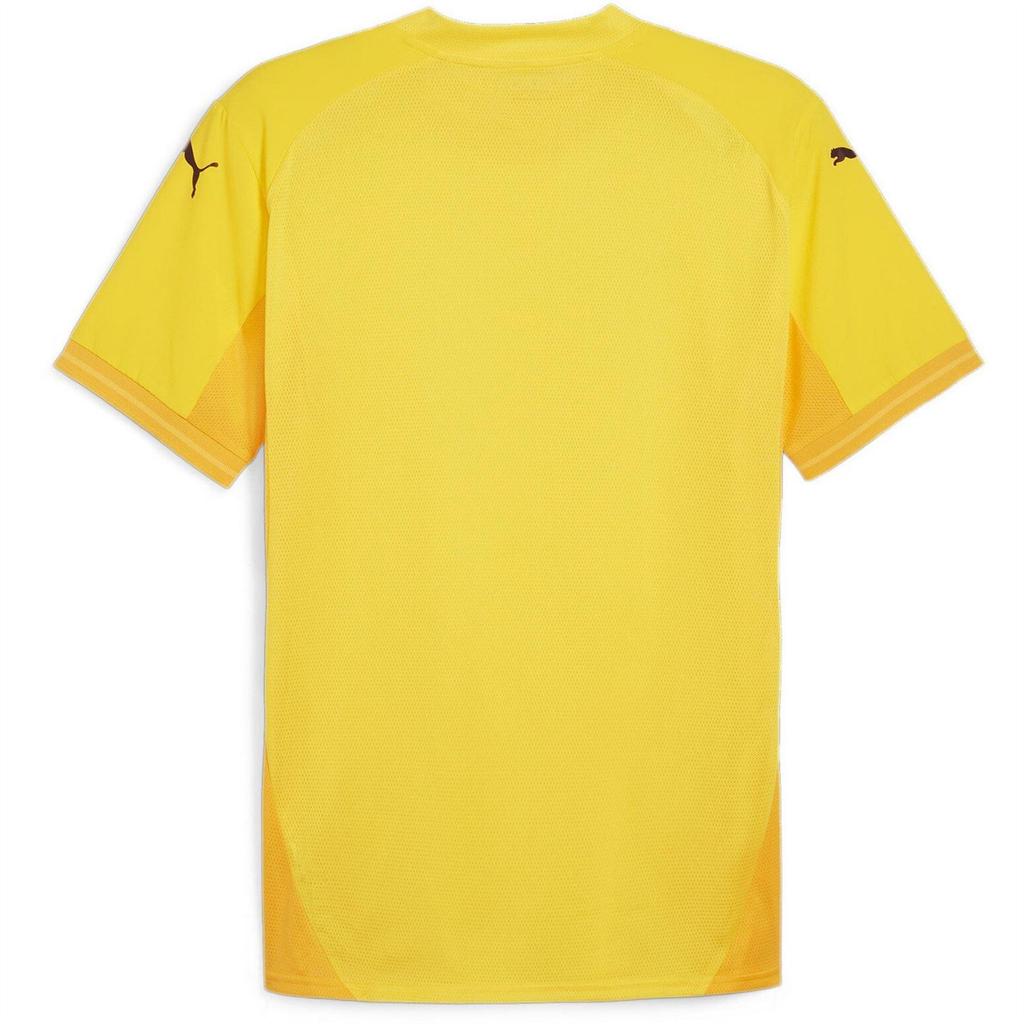 Puma Mens TeamFinal Jersey T-Shirt