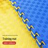 LeShi Interlocking Taekwondo & Training Foam Mats