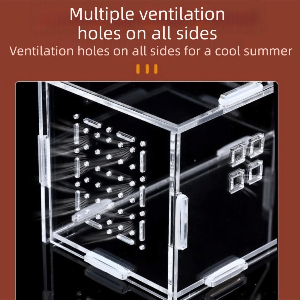 Acrylic Reptile Feeding Box Magnetic Reptile Habitat Box Pet Breeding Container  Breeding