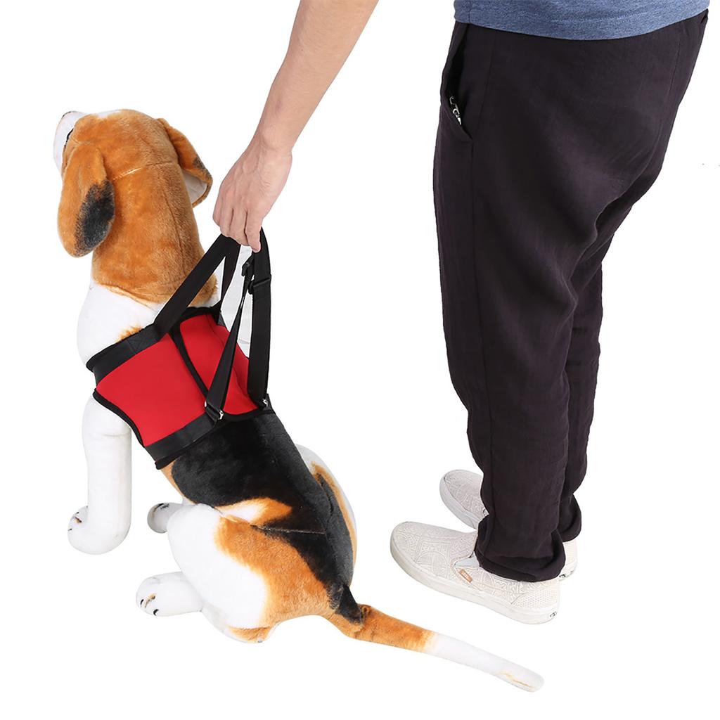 Front Dog Leg Support Harness Walking Aid Lifting Pulling Vest for Old & Injured Dogs (S)