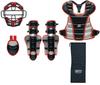 ZETT Baseball Protective Gear Set for Softball Limited for and Black and Silver from Swallow Catcher's (4-Piece Set) Baseball, Edition, Boys, Juniors,