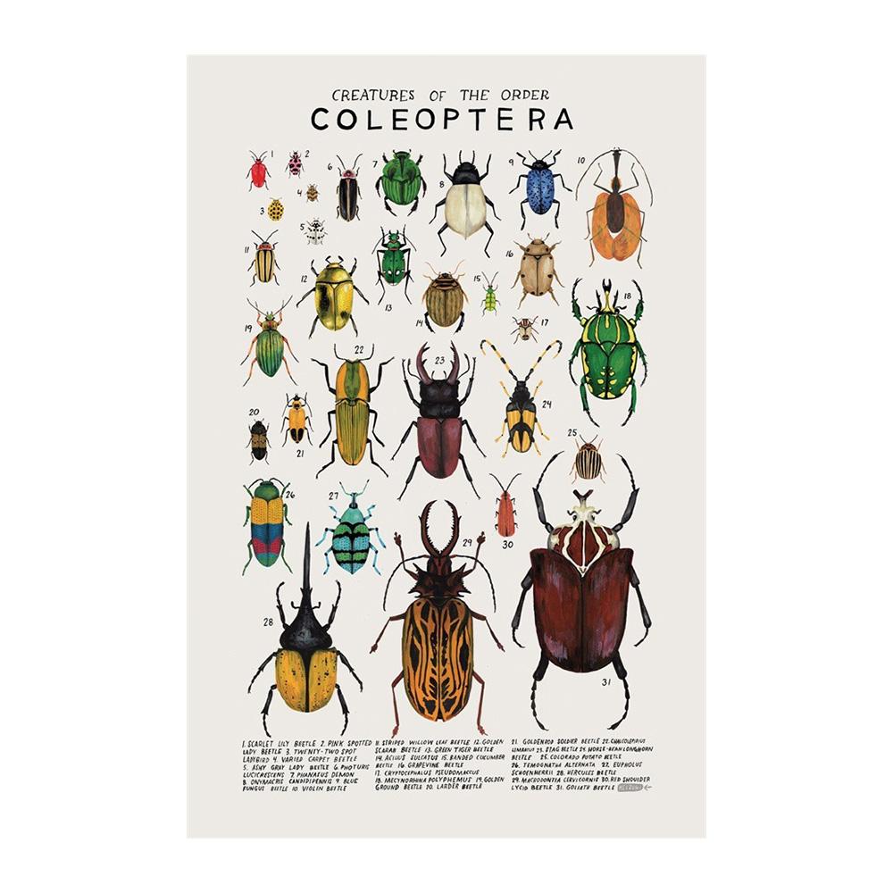 Abstract Marine Organisms Jellyfish Whale Squid Fishes Posters Canvas Painting and Prints Wall Art Picture for Room Home Decor