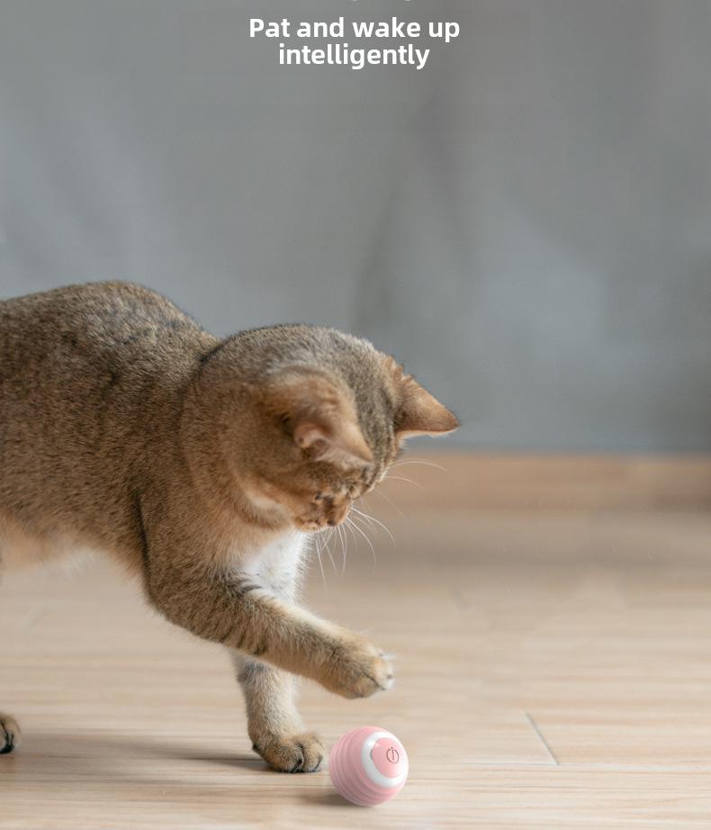 Intelligent Rolling Cat Toy: Gravity-Powered Ball To Relieve Boredom and Entertain Kittens