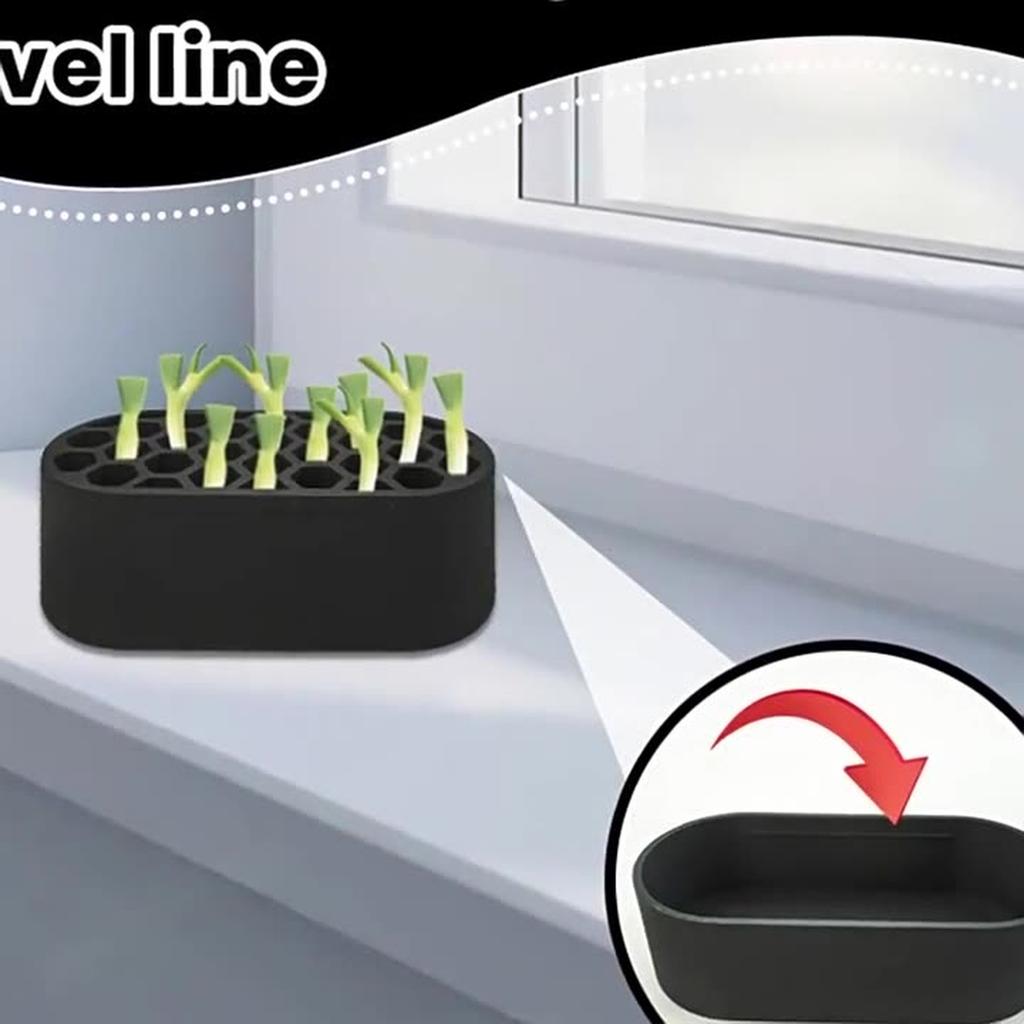 Shallot Regenerator, Balcony Potted Seed Regeneration Plastic Tool