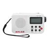 Portable AM FM SW Radio Dual Power Supply Digital Tuner Backlit LCD Display Small Radio with 3.5mm Earphone   for Home Travel