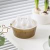 Hyacinth Tulip Seed Hydroponic Flowerpot 3/5Holes Pots For Plants Soilless Plant Pot Lazy Hydroponic Flower Pot Home Decoration