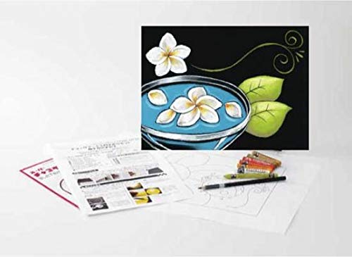 

Набор для начинающих для рисования пастелью Holbein №2 316506