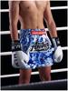2025 Multi-Color Boxing & Muay Thai Shorts, European Fit, Competition & Training, Multi-Style