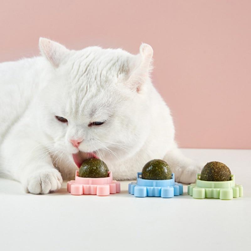 cat snack toy