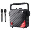 Malata M+9110CS Portable Wireless Karaoke & Instrument Speaker (CN Version)