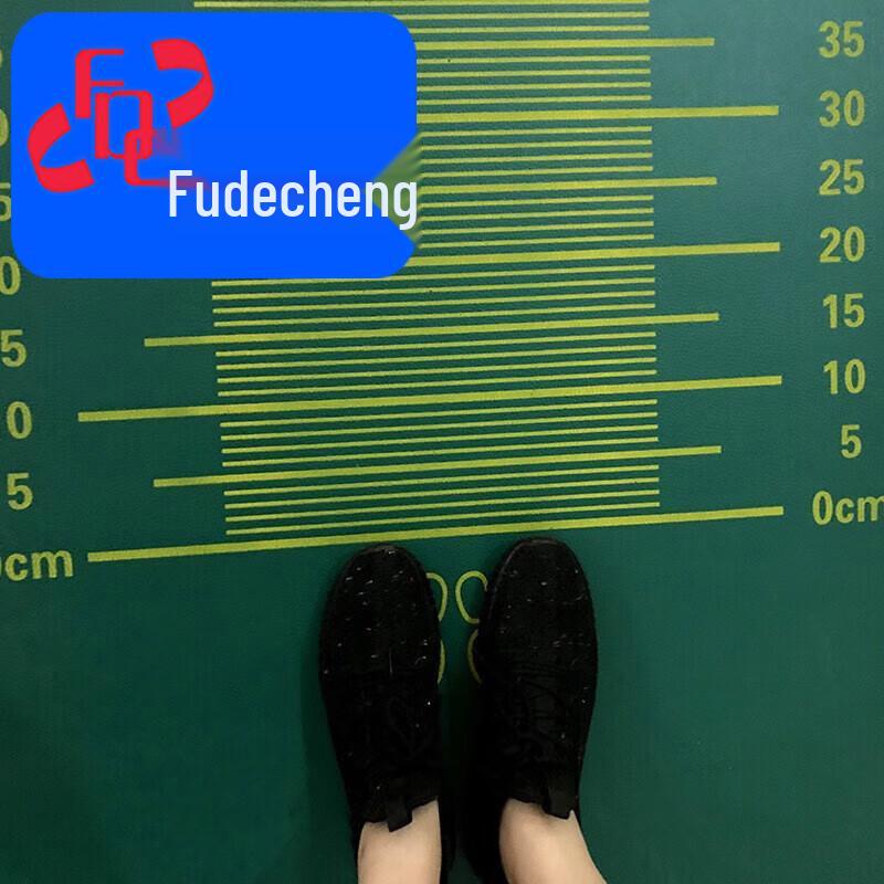 Fudecheng Standing Long Jump Testing Mat