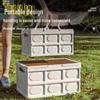 30L Collapsible Portable Storage Organizer
