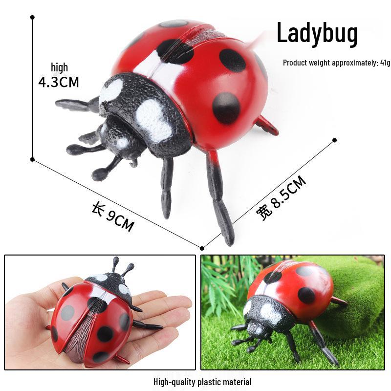 Children s Science Education Toy: Butterfly, Rooster, Bee, Sea Turtle, Ladybug Growth Cycle Models