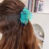 Accessoires pour Cheveux – Pinces à cheveux
