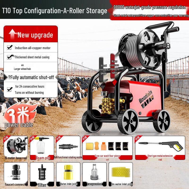 Ally Portable 220V High-Pressure Washer