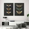 Vintage Moth Nature Insect Prints Posters Home Wall Decor Animal Educational Pictures Canvas Paintings Kids Room Art Decoration