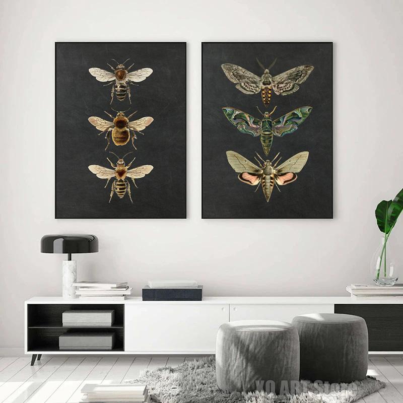 Vintage Moth Nature Insect Prints Posters Home Wall Decor Animal Educational Pictures Canvas Paintings Kids Room Art Decoration