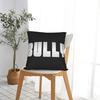 Pillow Cover Ye Kanye West Bully Album Kawaii Pillow Case For Living Room Bed Chair Pillowcases