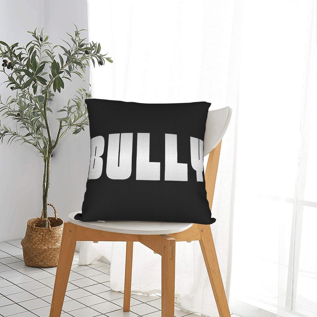 Pillow Cover Ye Kanye West Bully Album Kawaii Pillow Case For Living Room Bed Chair Pillowcases
