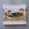 [USED] Portraits D'animaux Pierre Belves Books Animals Art