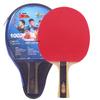 Tenis de masă – Palete tenis de masă