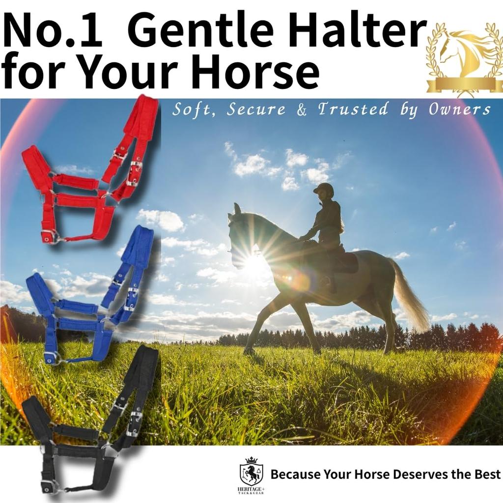 Horse Riding Gear, Waistband, Belly Band, Compatible with Front and Rear Ties, Horse Harness, Rein Connection, Black, Size M [Parallel Import]