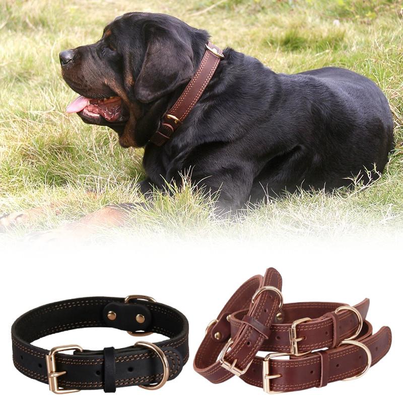 Leather Dog Collar With Vintage Copper Buckle For Medium Large Durable Dogs