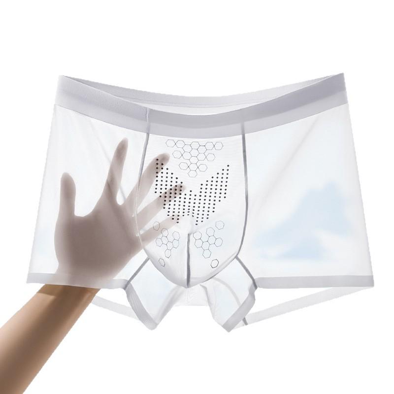 Herren Nahtlose Leichte Boxershorts aus Eisseide - Atmungsaktiv, Antibakteriell, Sommerunterwäsche für Teenager